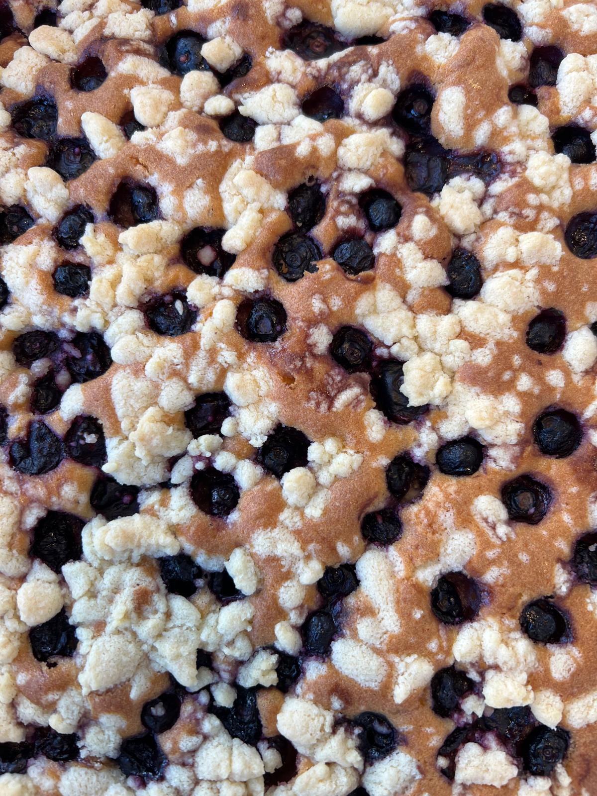 bosbessen plaatkoek