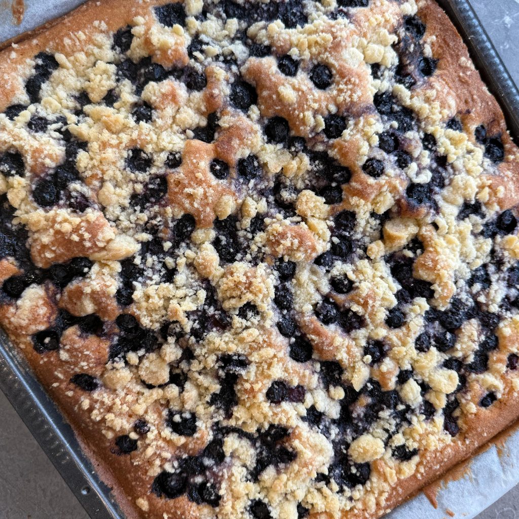 bosbessen plaatkoek vierkant